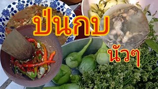 ป่นกบ กินกับข้าวเหนียวใหม่+ผัก ส้มผัก แซ่บๆจ้า /คุณแม่บุญล้อม