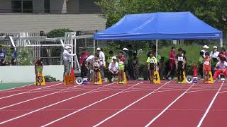 ㊲男子小学56年100m5組目 第77回足立区民体育大会陸上競技大会20240428