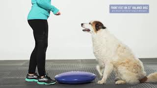 FitPaws® Balance Discs