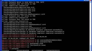 rdp4Postgres client setup 2