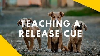 Teaching Your Dog A Release Cue