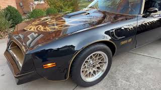 1977 “Bandit” Trans Am Walk Around