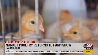 Bird flu looms over PA Farm Show as poultry makes limited return