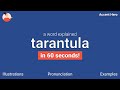 TARANTULA - Meaning and Pronunciation