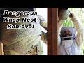 Destroying A Dangerous Wasp Nest - 1st Yellowjacket Nest Removal of 2024. Mousetrap Monday