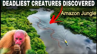 5 Most Deadly Creatures of the Amazon Rainforest |  Most Dangerous Animals