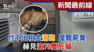 付不出租金落跑 屋飄屍臭 赫見「逾70隻死貓」｜TVBS新聞 @TVBSNEWS01