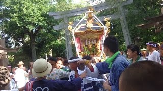 平成２８年　茅ヶ崎市小和田　熊野神社　例大祭　発輿・渡御