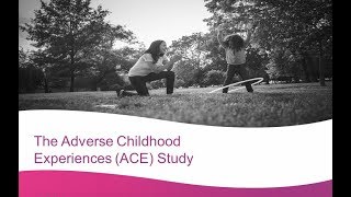 Adverse Childhood Experiences (ACE) Provider Training