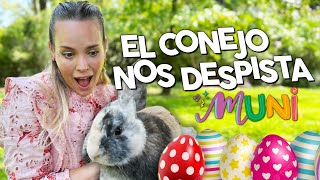 Soy Muni - Lograremos encontrar los huevos que escondió el conejo de Pascua?