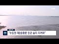 nib 뉴스 환경단체 “수도권 제2순환로 인근 습지 지켜야”