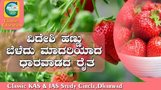 STRAWBERRY  ಬೆಳೆದು ಕೈತುಂಬಾ ಆದಾಯ ಪಡೆಯುತ್ತಿರುವ ಧಾರವಾಡ ರೈತ||STRAWBERRY CULTIVATION||CLASSIC EDUCATION