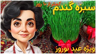 سبزه گندم / سبزه عید نوروز / چگونه سبزه هفت سین عید نوروز را درست کنیم؟