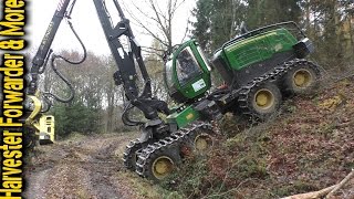 🌲🌳🌲 Best of LOGGING | Compilation 🌳🌲🌳 2016