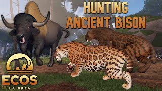 HUNTING ANICENT BISON AS A SMILODON | Ecos: La Brea | Roblox