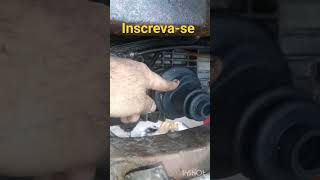 Corcel I ganhando presente de grife, acompanhe que virão outros vídeos dele