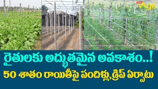 Vegetable Cultivation with Pandals | రైతులకు అద్భుతమైన అవకాశం..! 50శాతం రాయితీపై... Tone Agri