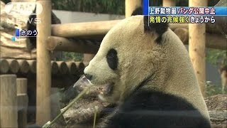 上野動物園、パンダ発情の兆候、きょうから展示中止(16/02/04)