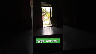 হুজুর আসছেন #shortsyoutube #viralvideo #free #icc #palastine #bn