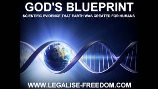 Christopher Knight - God's Blueprint