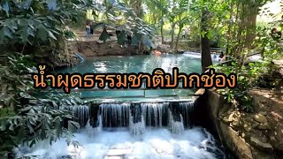 Traveling Ep17 Nam Phut Natural Pak Chong /paikapin /Traveling in Thailand