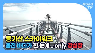 등기산 스카이워크, 울진 바다가 한 눈에...강심장💖만 가세요 | Skywalk I 4K