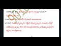 dsc 2024 8th class physics 3 కృత్రిమ దారాలు ప్లాస్టిక్ artificial fibre plastic telugu academy