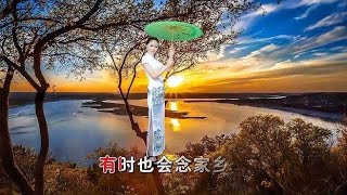 江蕙 演唱的闽南歌曲《黄昏的故乡》超美超好听！