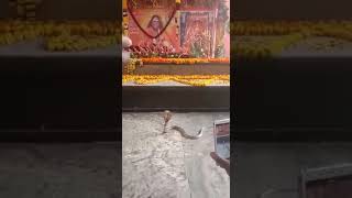 Angalaparameshwari 🙏😭😭  temple prathayagira amma temple snake