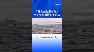 クジラが男性をカヤックごと丸のみ「死んだと思った」 南米・マゼラン海峡｜TBS NEWS DIG #shorts