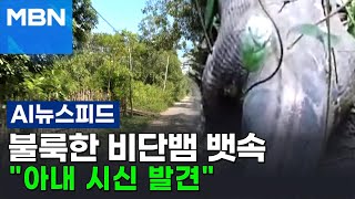 불룩한 5m 비단뱀 배 갈랐더니 아내 시신이...인도네시아 '발칵' [AI 뉴스피드]