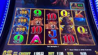 Some Mark Buffalo! #slots #casino #slotmachine #slotwin #jackpot #bonusfeature #casinogames #gamble