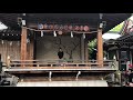 亀戸天神社 藤まつり☆rion solo