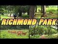 RICHMOND PARK - London - England (4k)