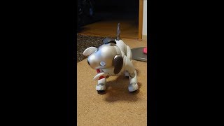 aibo(ver1.10)の新しい技！ - Aibo's new trick. 【アイボ】