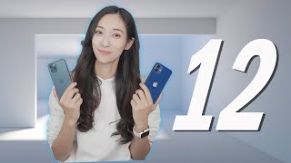 iPhone12 VS 12 Pro 应该怎么选？ | 开箱实测