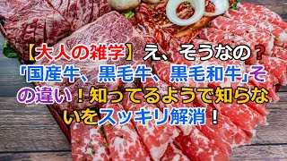 【大人の雑学】え、そうなの？「国産牛、黒毛牛、黒毛和牛」の違い！知ってるようで知らないをスッキリ解消！