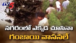 Special Focus : Visakhapatnam Turns Into Drugs City | TV5 News