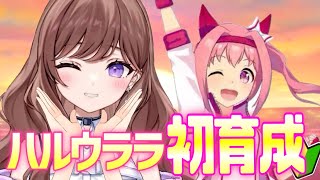 【完全初見】はじめてのウマ娘🔰ハルウララ初育成していくよ！URAファイナルズ！#2【新人Vtuber/ウマ娘プリティーダービー】