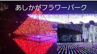 2022年雨の時のあしかがフラワーガーデンイルミネーション #rainy days Ashikaga flower garden illumination