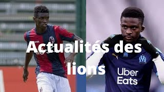 Actu lions: Bologne résilie le contrat d’Ibrahima Mbaye, Transfert de Bamba Dieng Pablo Longoria...