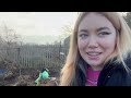 ticking off the to do s 🤩 allotment vlog 🌱 ep.44 🌱