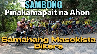 SAMBONG Pamatay  Ahon ng Tagaytay/Laurel Batangas Full Climb