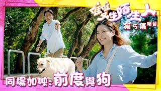 雙生陌生人｜第5集劇集精華｜同場加映﹕前度與狗｜馬德鐘｜湯洛雯｜TVB港劇精華