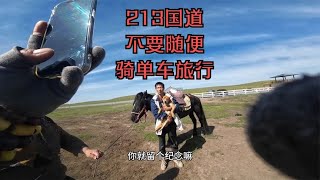 小伙单车骑行，在213国道途中人烟罕至遇到了野生藏獒，差点嘎掉