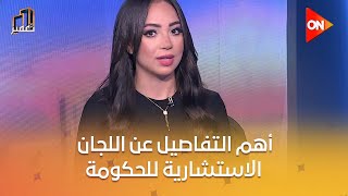 تعمير - د/ عبد المنعم السيد يوضح أهم التفاصيل عن اللجان الاستشارية للحكومة .. والهدف منها