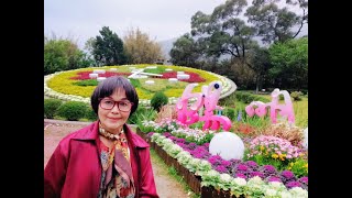 陽明山國家公園花鐘賞櫻花.杜鵑花.六福萬怡酒店.南港環球購物中心/112年3月13日