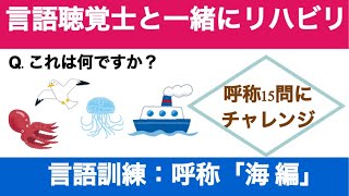 第144回【言語聴覚士と一緒にリハビリ】言語訓練：呼称15問に挑戦しよう（海 編）