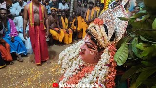 🔴 ಪೆರಿಯಕಲ ಕೋರ್ದಬ್ಬು ನೇಮ @ಉಂಡಾರು 🙏 Shri Babbu Swami thannimaniga kola @undaaru #daivaradhane #kola 🚩