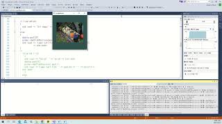 VTK Example - ImageRegion - Cxx